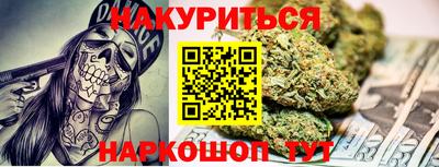 сатива Гай