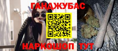 сатива Гай
