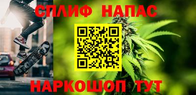 сатива Гай