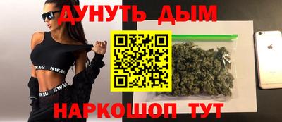 сатива Гай