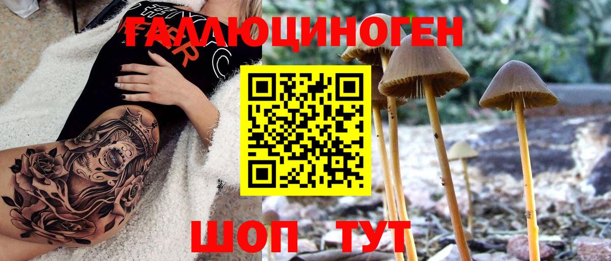 Полевской  Псилоцибиновые грибы Psilocybine cubensis  закладка  Вход с VPN 