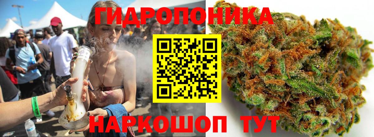 Бошки Шишки сатива Полевской